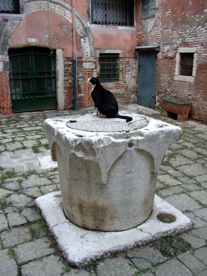 Apartment Essence Of Venedig Exterior foto